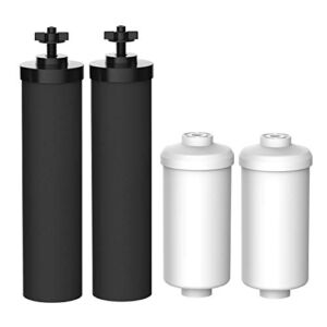 Filterlogic NSF/ANSI 372 Certified Water Filter, Replacement for Black Filters (BB9-2) & Fluoride Filters (PF-2) Combo Pack and Gravity Filter System – Includes 2 Black Filters and 2 Fluoride Filters