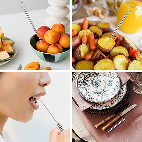 2 Pieces Reusable Titanium Toothpicks Holder, Mini Metal Colorful keychain Toothpick Stainless Steel Portable Toothpick Metal Toothpick Holder for Home Outdoor Picnic and Camping (Silver+Cool color) | The Storepaperoomates Retail Market - Fast Affordable Shopping