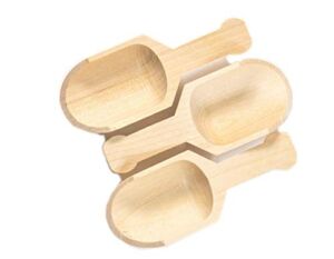 Perfect Stix 10-Pack Mini Wood Scoop, 4-1/4 L x 1-1/4 W-Inch