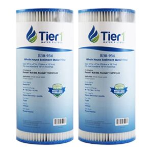 Tier1 30 Micron 10 Inch x 4.5 Inch | 2-Pack Pleated Polyester Whole House Sediment Water Filter Replacement Cartridge | Compatible with Pentek R30-BB, 155101-43, RS6, SPC-45-1030, Home Water Filter