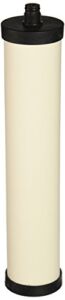 DOULTON W9223021 Replacement Ceramic Filter