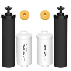 Lonsge Water Filter, for Replacement Black BB9-2 Water Filters & PF-2 Fluoride Filters Bundle, Includes 2 Black Water Filters and 2 Fluoride Filters, Compatible with Berkey Gravity Filtration System