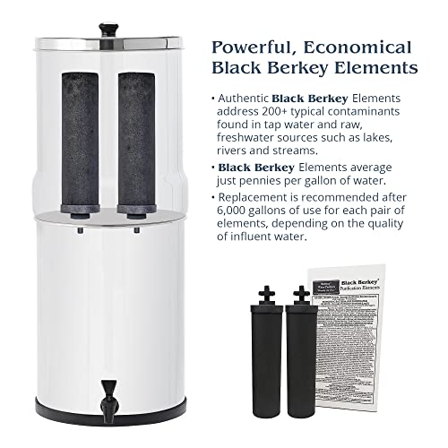 Berkey Authentic Black Berkey Elements BB9-2 Filters for Berkey Water Systems (Set of 4 Black Berkey Elements) | The Storepaperoomates Retail Market - Fast Affordable Shopping