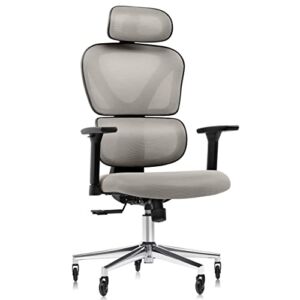FelixKing Ergonomic Office Chair, Home Mesh Chair High Back Desk Chair Rolling Swivel Chair with 3D Adjustable Armrest & Lumbar Support & Headrest, Blade Wheels Computer Chair for Meeting Room (Gray)