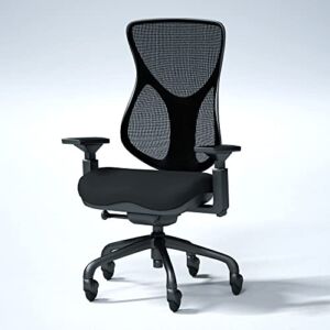 BodyBilt Seating E-Chair | Ergonomic Mesh Office Chair | Mid Back Mesh Computer Chair | Back Support Office Chair | Adjustable Arms | Quiet Smooth-Glide Wheels | Swivel Computer Task Chair Black