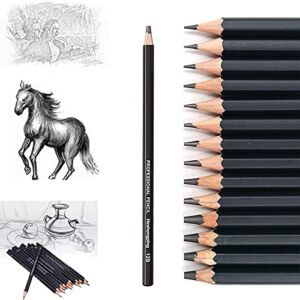 Heshengping, Drawing Sketch Pencil Set 14pcs Sketching Pencils 12B 10B 8B 7B 6B 5B 4B 3B 2B B HB 2H 4H 6H Graphite Pencils for Kid Adults Artists Student Beginners Professional