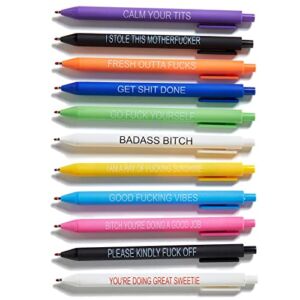 HLPHA 11PCS Funny Pens Set, Spoof Fun Ballpoint Pen Set, Premium novelty pens Swear Word Daily Pen Set, offensive pens Funny DIY Office Gifts