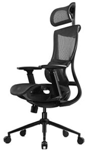Dowinx Ergonomic Office Chair, High Back Computer Chair with Depth Adjustable Seat and Lumbar Support, Mesh Desk Chair with 3D Adjustable Armrests (Black)