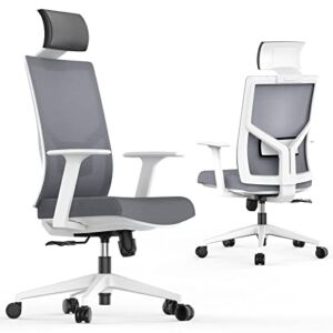 Season wind Ergonomic Office Chair, Home Office Desk Chairs with Wheels, Grey