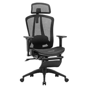 HOMESTOOL Office Chair Ergonomic Desk Chair with 2-axis Adjustable Lumbar Support, Carbon Fabric Mesh Chair PC Computer Chair High Back Office Chair with Waterfall Seat 150kg Capacity