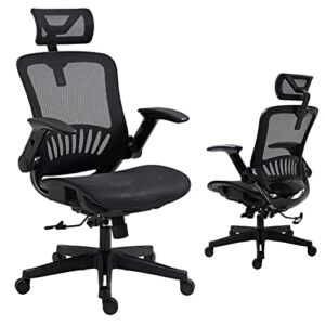 Loyrus Ergonomic Office Chair, High Back Desk Chair with Adjustable Headrest and Flip-Up Arms, Swivel Task Chair with Lumbar Support and Tilt Function, Rocking Mesh Computer Chair(Black)