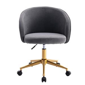 ANSKIY Home Office Computer Desk and Chair, Velvet Armchair, Gold Plated Base Adjustable Rotating Task Stool Leisure Chair Chair Computer Chair is Suitable for Living Room Office Grey