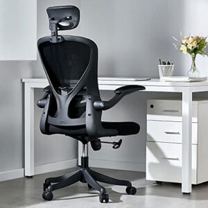 OMUSA-PDI Ergonomic Office Chair, Mesh Computer Chair with Lumbar Support, Rolling Desk Chair with Adjustable Armrest, High Back Home Office Chair