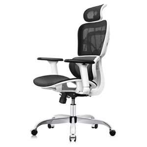 FelixKing Office Chair, Ergonomic Desk Chair with 3D Adjustable Headrest and Armrests Lumbar Support and Silver Wheels Reclining High Back Mesh Computer Chair (Silver White)