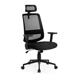 Kasorix Ergonomic Home Office Mesh Chair Computer Desk Chair with Adjustable Headrest (916-black)