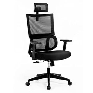 Kasorix Ergonomic Home Office Mesh Chair Computer Desk Chair with Adjustable Headrest and Adaptive Lumbar Support(929)