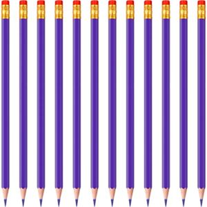 Zhanmai 24 Pieces Checking Erasable Pencils Pencils Pre-Sharpened #2 HB with Erasable Tops for Checking Map Coloring Tests Grading (Purple)