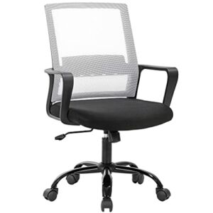 Ergonomic Desk Chair Mesh Office Chair, Computer Chair with Lumbar Support& Armrests, Adjustable Mid-Back Computer Desk Chair, Modern Executive Rolling Swivel Chairs for Adults, White