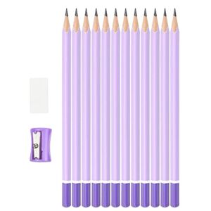 Weibo 2B Graphite Pencils, Fat, Thick, Strong, Triangular Grip Pencils with with Eraser, Sharpener, Suitable for School, Kids, Art, Drawing, Drafting, Sketching & Shading (Pack of 12)
