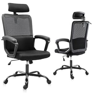 Office Chair, Ergonomic Mesh Computer Desk Chair, High Back Swivel Task Executive Chair Padding Armrests with Adjustable Rotatable Headrest Lumbar Support (Dark Black, with Hanger)