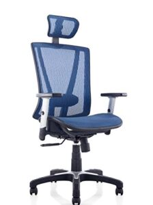 Ergomax ERG112BL Ergonomic Adjustable Home Office All Mesh Desk, Lumbar Support & Back Relief Breathable Chair, 53 Inch Max Height, Blue