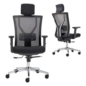 Ergonomic Office Chair, Adjustable Lumbar Support, Headrest  2D Armres and PU Wheel, High-Back Mesh Swivel Office Chair, Tilt Function Computer Chair（Black）