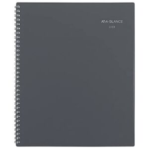 AT-A-GLANCE 2023 Weekly & Monthly Planner, DayMinder, Quarter-Hourly Appointment Book, 8-1/2″ x 11″, Large, Monthly Tabs, Gray (GC52007)