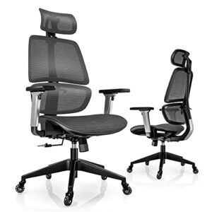 LINSY HOME Ergonomic Office Chair, Dark Grey