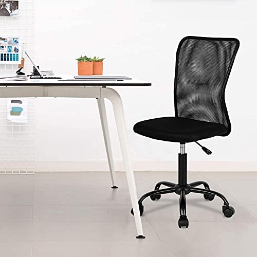 Hkeli Home Office Chair Mid Back Mesh Desk Ergonomic Office Chair Cheap Desk Chair Armless Computer Chair Rolling Chair Adjustable Modern Chair with Lumbar Support for Women Men Adult Black | The Storepaperoomates Retail Market - Fast Affordable Shopping