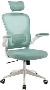 SUKIDA Office Chair Breathable Mesh Fashionable Movable Desk Chair Headrest Adjustable Waist Support Movable Armrests Rocking Adjustable Height Free Rotation SK11 (Light Green)