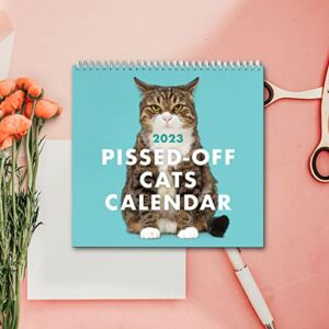 2023 Pissed-Off Cats Calendar, Funny Cats Calendar, Monthly Format Cats Wall Calendar, Cartoon Cat Hangable Wall Calendar, Gift for Cat Lovers (Blue)