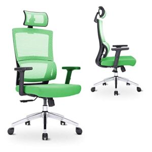 Bonzy Home Ergonomic Office Chair with Lumbar Support, Mesh Computer Chair with Adjustable Headrest Armrest Wheels Tilt Function Position Lock, Executive Swivel Desk Chairs, Green