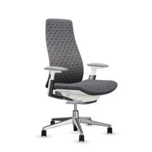 Haworth Fern High Performance Office Chair with Ergonomic Innovations – Stylish Desk Chair with Digital Knit Finish – Without Lumbar Support (Melange Nap 191)