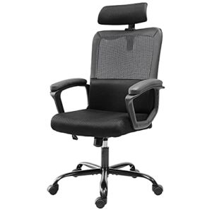 Office Chair, Ergonomic Computer Desk Chair Mesh Task Chair High Back Chair, Padded Seat Adjustable Headrest & Lumbar Support, with Clothes Hanger, Black