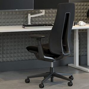 Haworth Fern High Performance Office Chair with Ergonomic Innovations and Lumbar Support, Flexible Mesh Back (Coal/Lumbar Support)