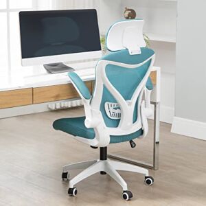HOMEFUN Ergonomic Office Chair, Mesh Computer Desk Chair with Headrest, Adjustable High Back Chair with Armrest