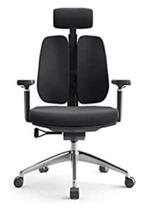 Creative Computer Chair Ergonomic Spine Chair Simple Waist Double Back Chair Mesh Office Chair (Color : Black)
