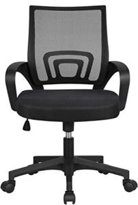 Payhere Executive Task Ergonomic Desk Home Computer Gaming Office Chair Mesh Working Chair with Mid-Back Lumbar Support Armrest Modern Adjustable Swivel Rolling Desk Chair for Women Men, Black