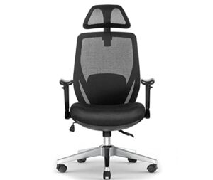 NOVELLAND Ergonomic Office Chair Back Support, Mesh Office Chair with Lumbar Support, High Back Home Office Chair with Headrest, Adjustable Office Chair Adjustable Arms (Black)
