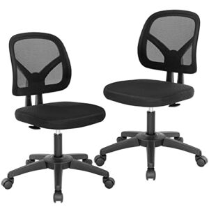 Computer Ergonomic Chair, Heavy Duty Metal Base Desk Chairs, Executive Adjustable Swivel Rolling Chair with Arms Lumbar Support Task Home Office Chair for Women, Men (Black, Set of 2)