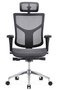 GM Seating Ergonomic Mesh Office Chair Dreem II Mesh Series, Black Mesh, Chrome Base (Headrest)