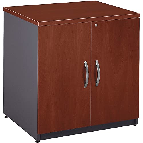 Two Door Storage Cabinet Hansen Cherry/Graphite Gray | The Storepaperoomates Retail Market - Fast Affordable Shopping