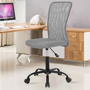 Ergonomic Desk Chair Back Support,Mesh Office Chair with Lumbar Support,Mesh Computer Chair No Arms, Adjustable Height Task Rolling Swivel Chair for Women&Men, Modern Chair,Grey