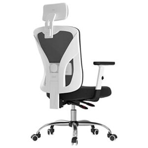 Hbada Ergonomic Office Desk Chair with Adjustable Armrest, Lumbar Support, Headrest and Breathable Skin-Friendly Mesh, White