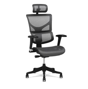 X-Chair X1 High End Task Chair, Grey Flex Mesh with Headrest – Ergonomic Office Seat/Dynamic Variable Lumbar Support/Highly Adjustable/Relaxed Recline/Perfect for Office or Home Desk
