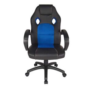 Polar Aurora Leather Office Chair High Back Ergonomic Adjustable Racing Chair Swivel Computer Gaming Chair Headrest and Lumbar Support -Blue