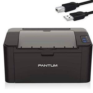 Pantum P2502W Monochrome Laser Printer for Home Office School Student Mobile Wireless Black and White Printing- Small Laserjet