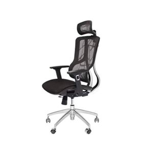 CangLong Executive Chair with 2D Adjustable Headrest, Ergonomic Office Chair with Mesh Seat and High Back, Desk Chair with 3D Armrest, Multifunction for Relaxation, BIFMA Certification No 5.1, Black
