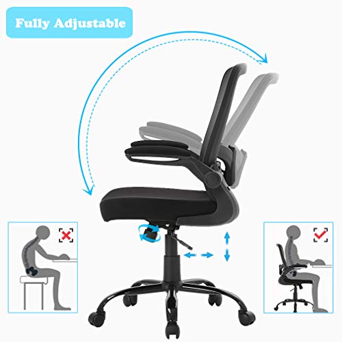 FDW Ergonomic Mesh Office Chair, Executive Rolling Swivel Chair, Computer Chair with Lumbar Support Desk Task Chair for Women, Men(Black) | The Storepaperoomates Retail Market - Fast Affordable Shopping
