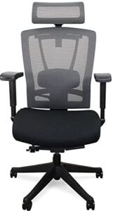 Autonomous ErgoChair – Premium Ergonomic Office Chair – All Black